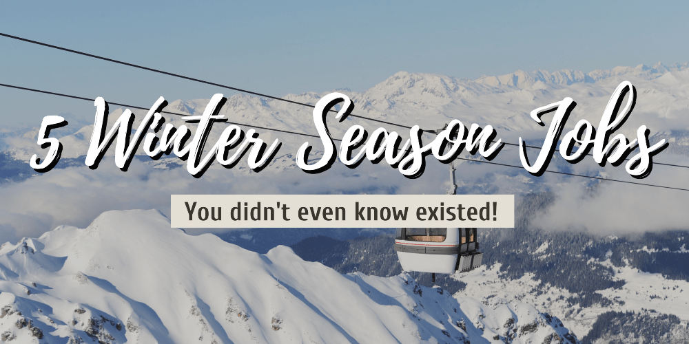 5 Winter Season Jobs you didn't even know existed